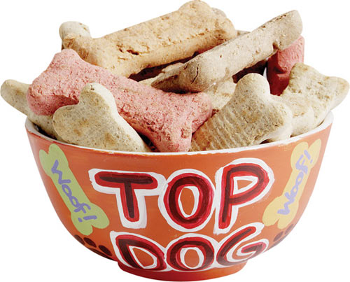 Paint Your Own Bowls