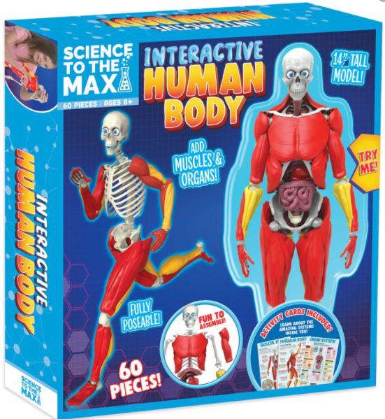 Science to the Max - Interactive Human Body