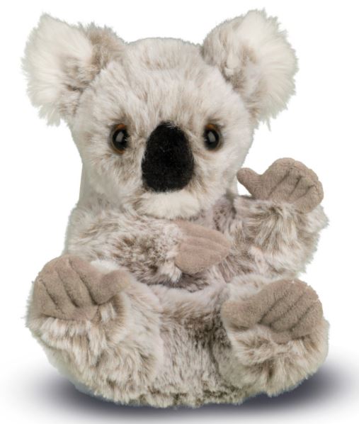 Koala Lil' Handful