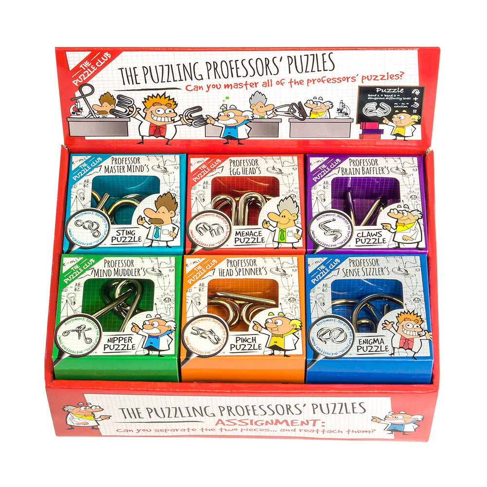 MINI PUZZLING PROFESSOR
