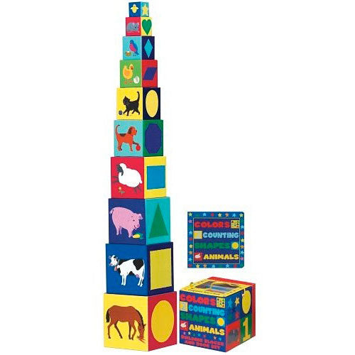 CCS&A Building Blocks & Board Book Set