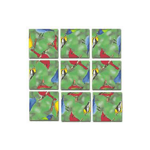 North American Birds Scramble Squares