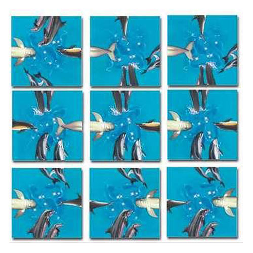 scramble squares dolphins