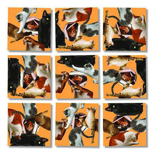 Cats Scramble Squares