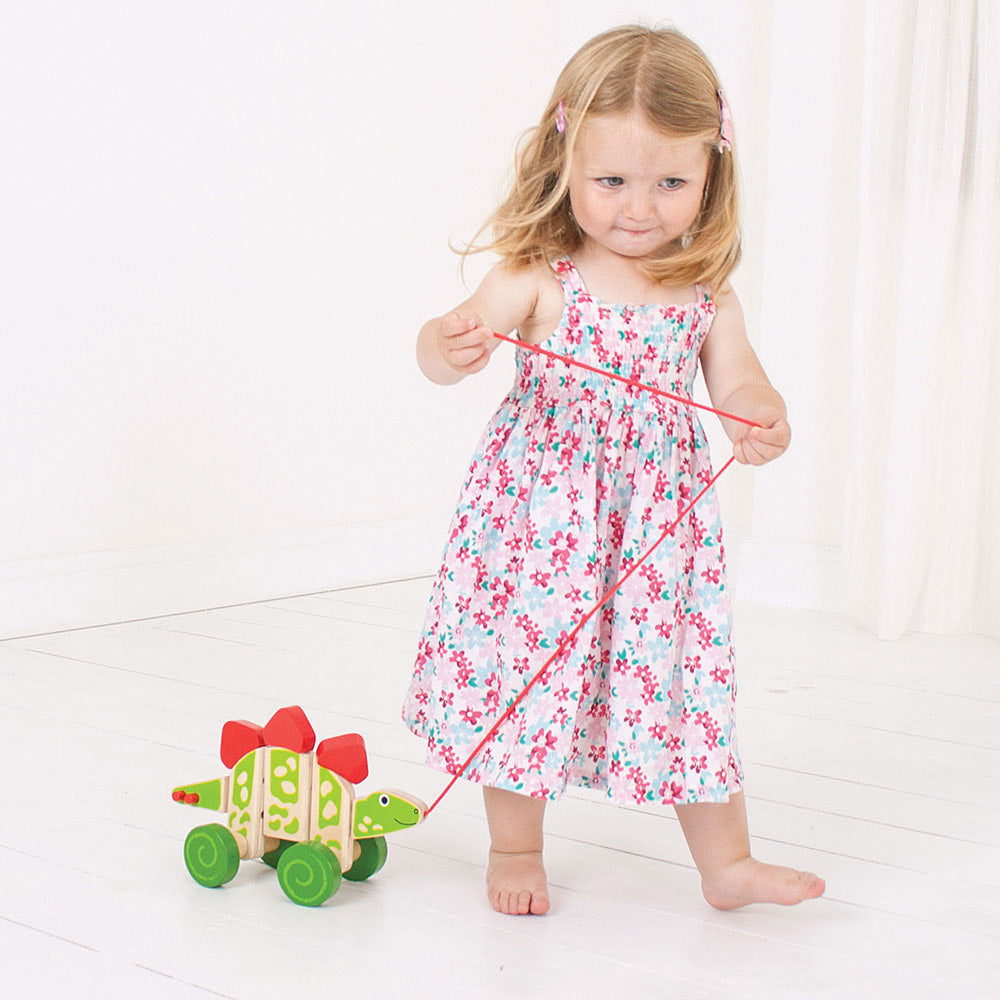 Pull Along (Stegosaurus)