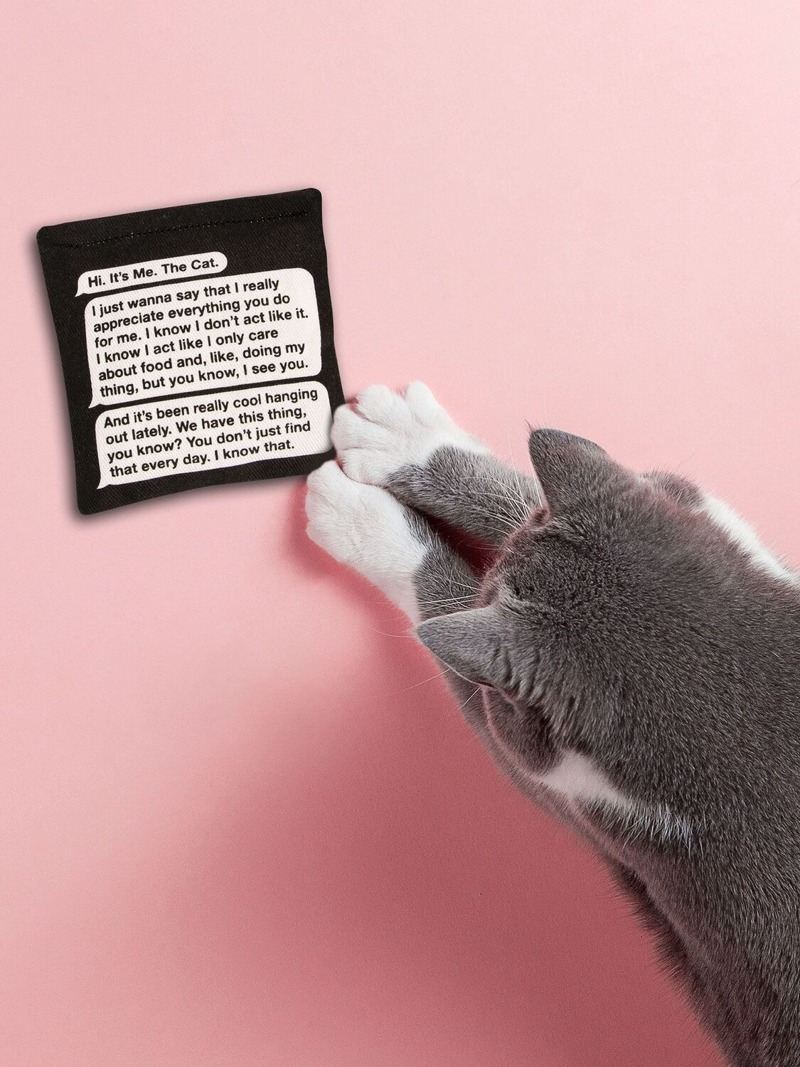 Rambling, Late-Night Text From Your Cat Catnip Toy