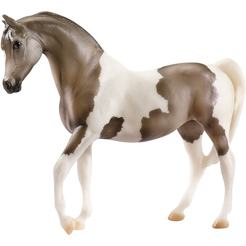 Pintabian Grey Pinto Horse