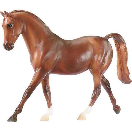 Thoroughbred Horse