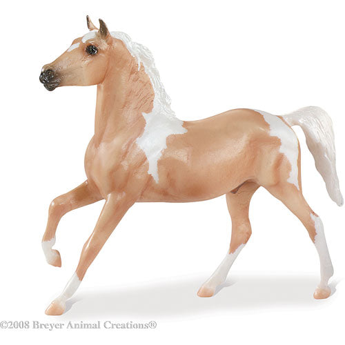 Pinto Palomino Stallion