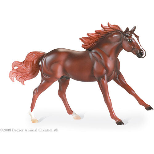 American Quarter Horse Stallion-Liver Chestnut