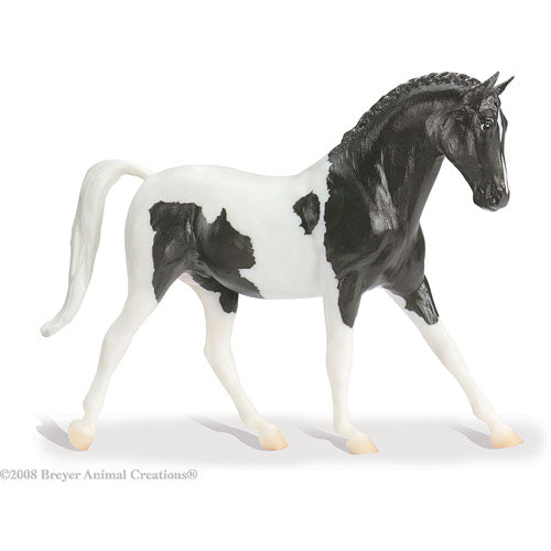 Warmblood Black & WHite Pinto