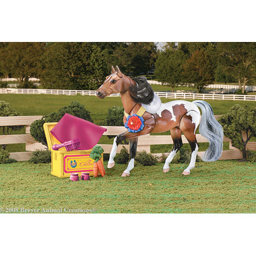 Chloe Pinto Horse