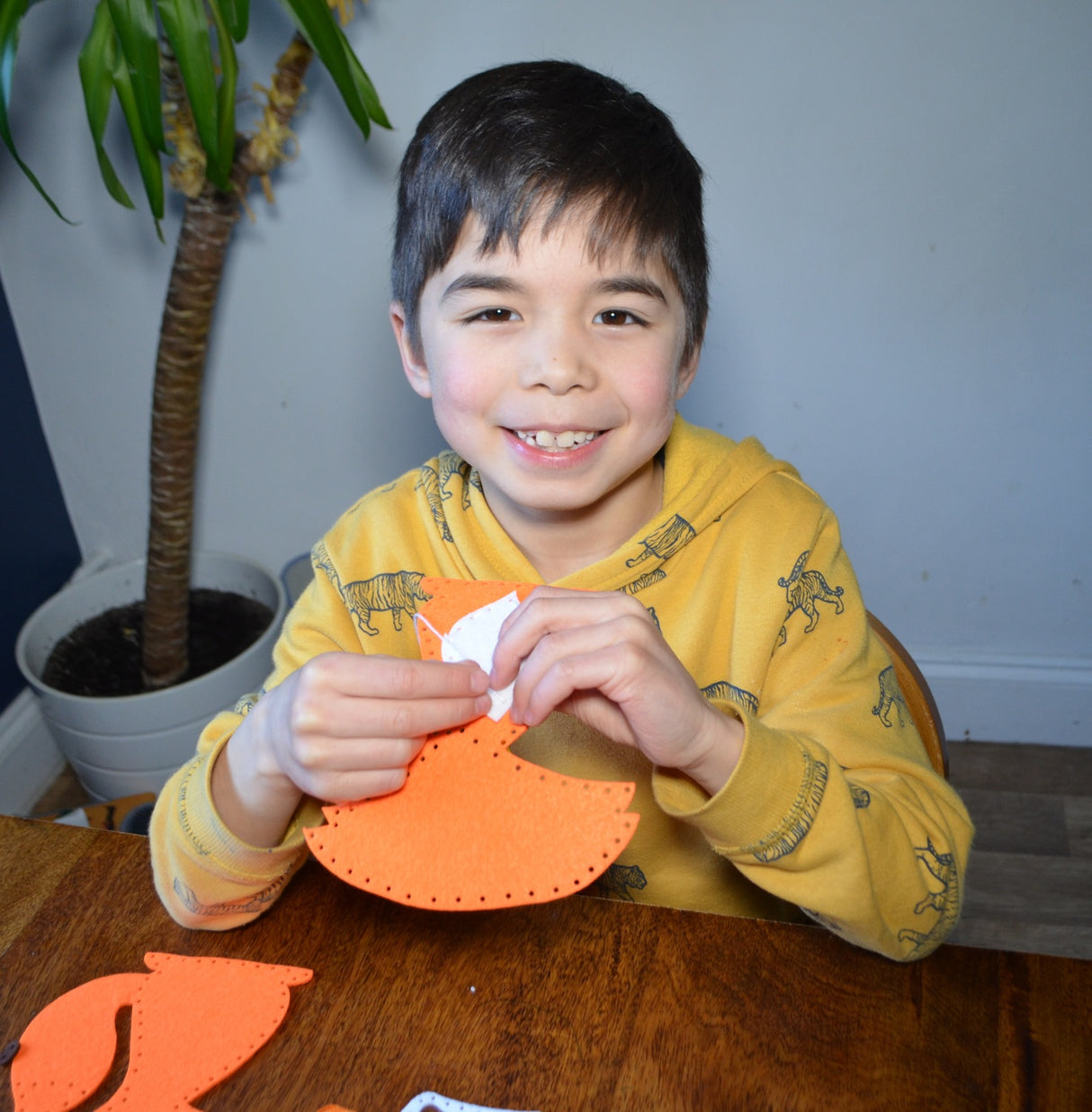 Cute Animals Felt Sewing Kit