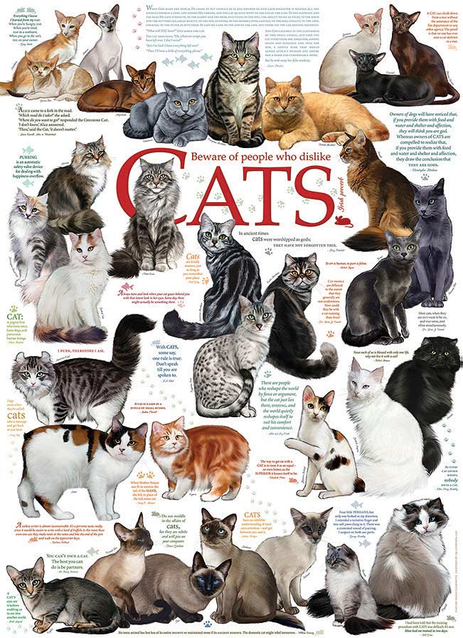 Cat Quotes