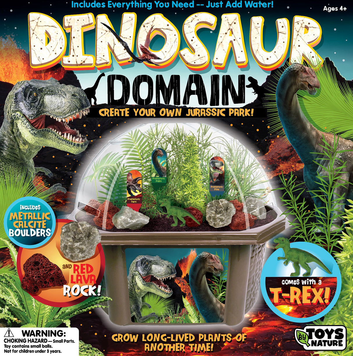 Dinosaur Domain