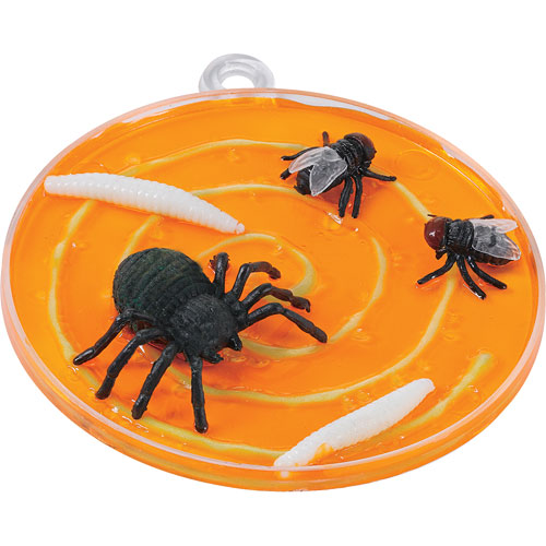 Creepy Bugs Window Art