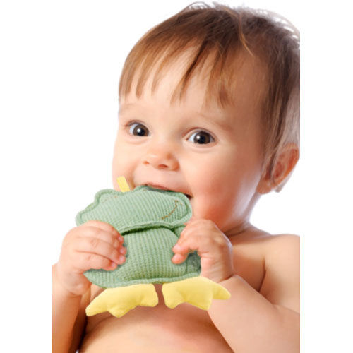 Dandelion Frog Rattle - Classic Organic Toy