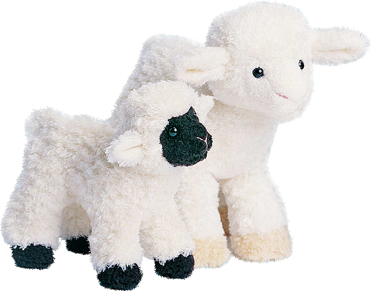 Clementine Lamb