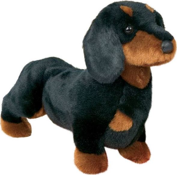 Spats Dachshund