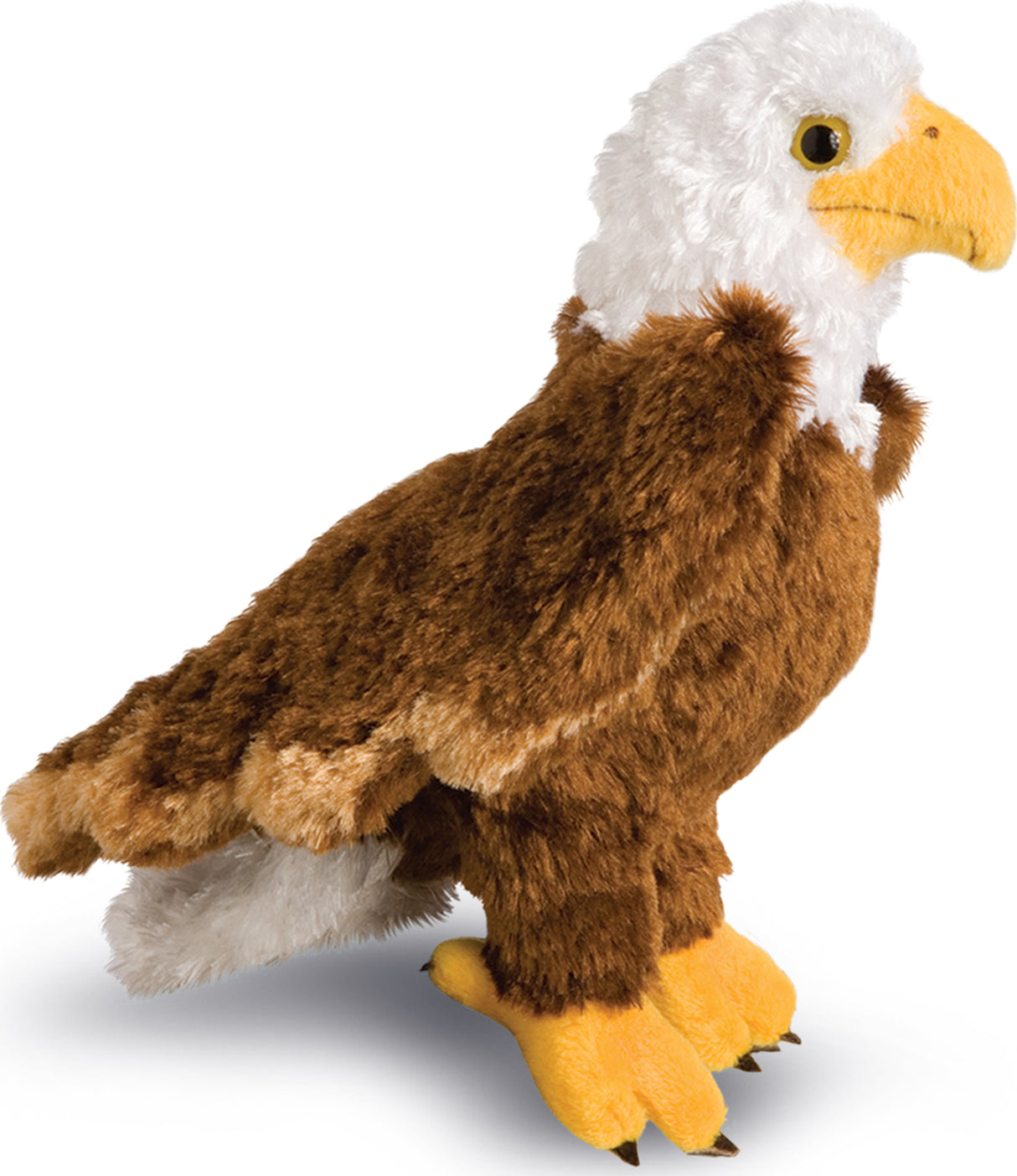 colbert eagle