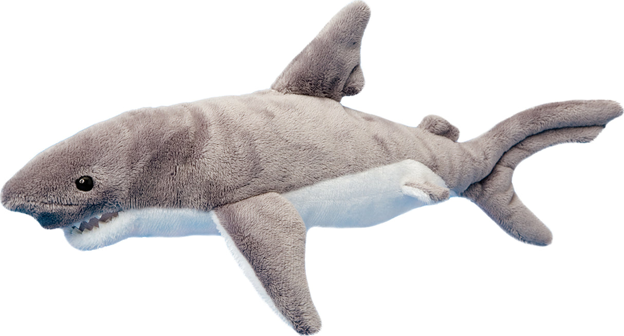 Smiley Gray Shark