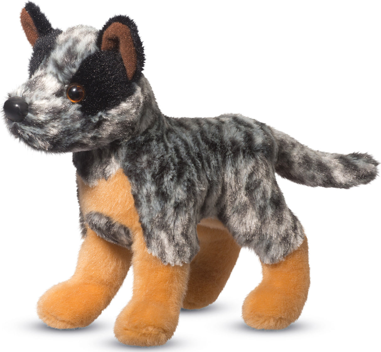 CLANGER AUS CATTLE DOG