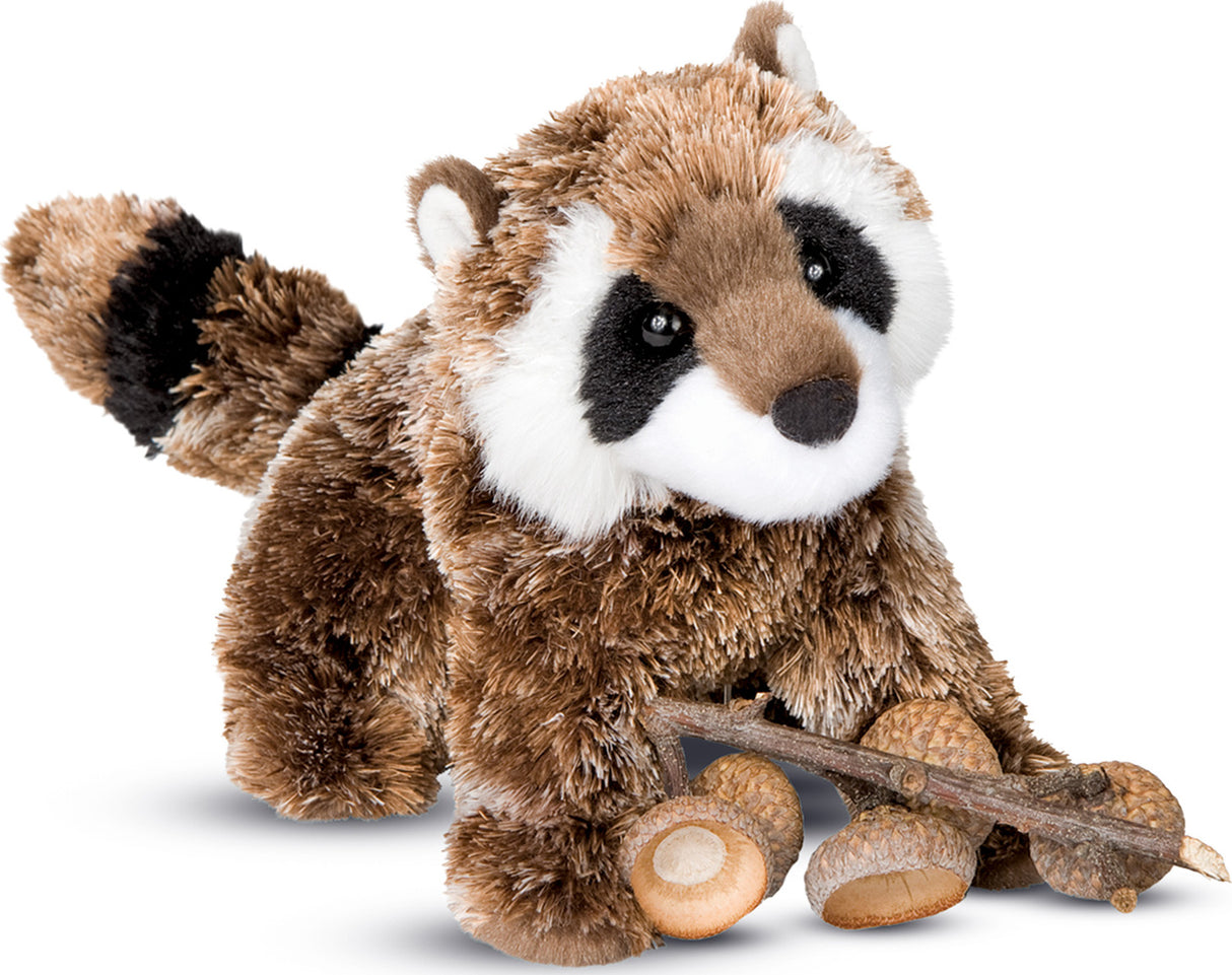 Patch Racoon