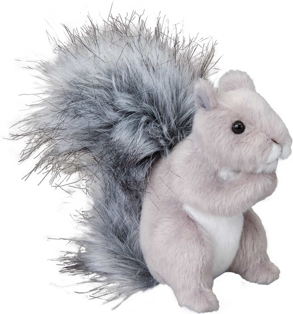 Shasta Grey Squirrel