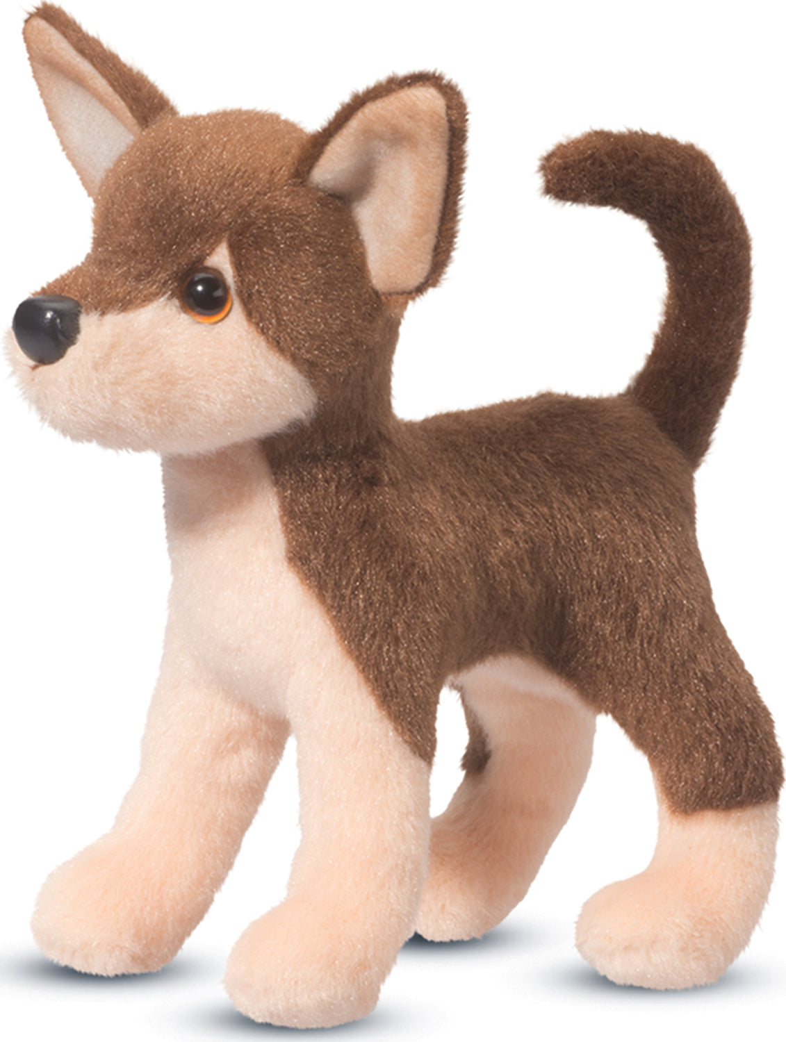 Pepito Chocolate Chihuahua