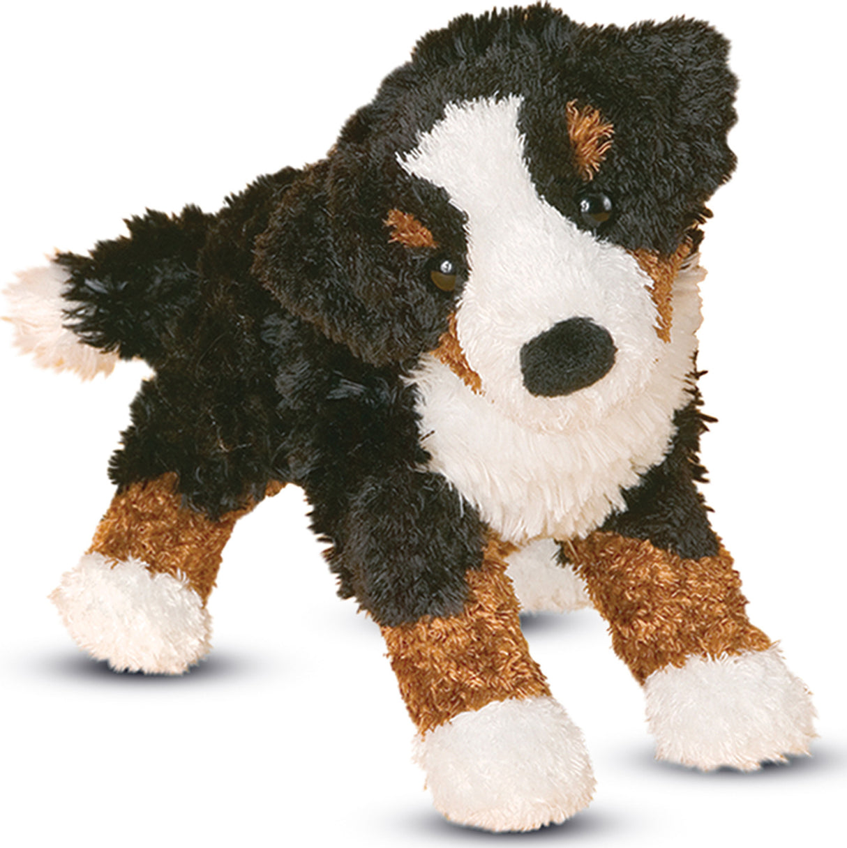 Miranda Bernese Mtn Dog