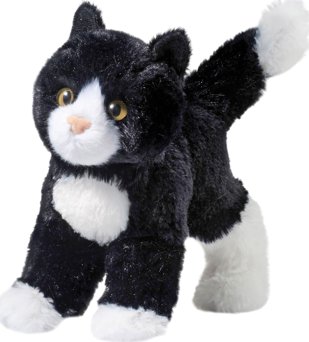 Snippy the Black & White Cat