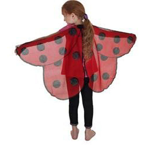 Dreamy Dress-Ups Ladybird wings with glitter