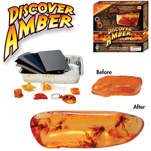 Discover Amber - Catalog 2011