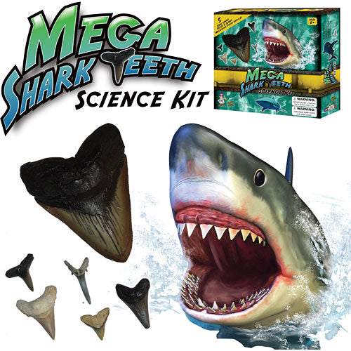 Mega Shark Teeth Science Kit