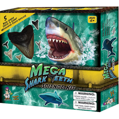 Mega Shark Teeth Science Kit