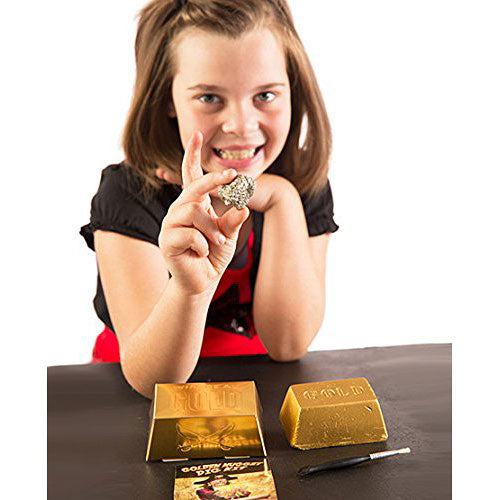 Dig for Real Gold by Discover with Dr. Cool