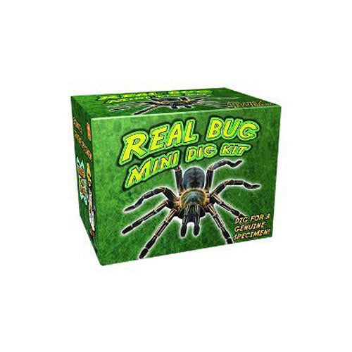Discover with Dr. Cool Mini Bug Digging Science Kit