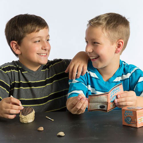 Discover with Dr. Cool Mini Fossil Excavation Science Kit