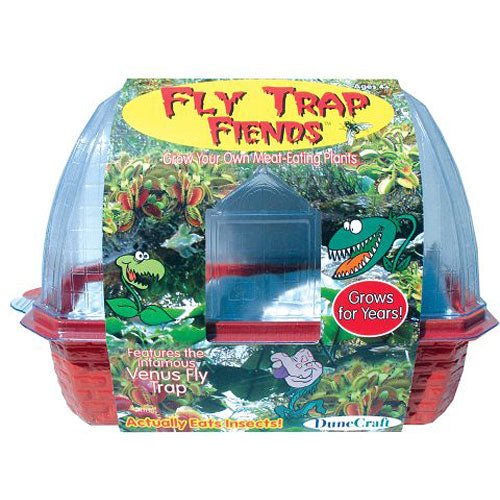 DuneCraft Windowsill Greenhouses - Venus Fly Trap