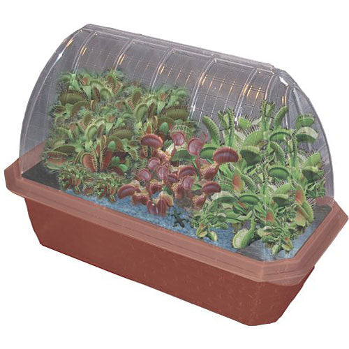 DuneCraft Windowsill Greenhouses - Venus Fly Trap