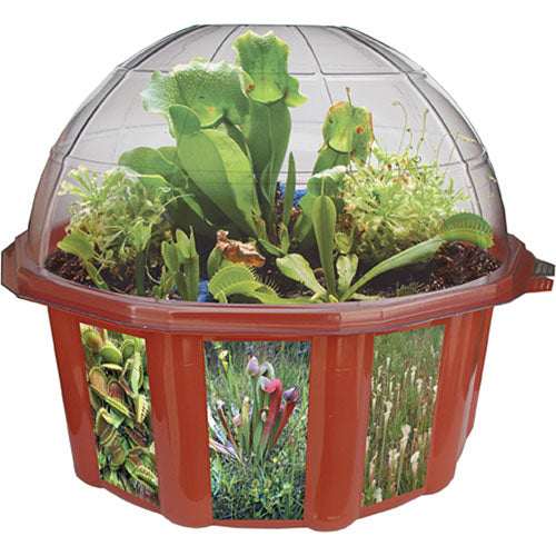 Carnivorous Creations - Catalog 2011