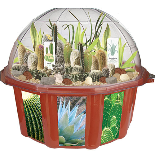 Desert Biodome Terrarium - Catalog