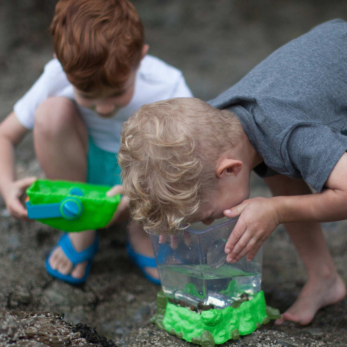 GeoSafari Jr. Critter Habitat
