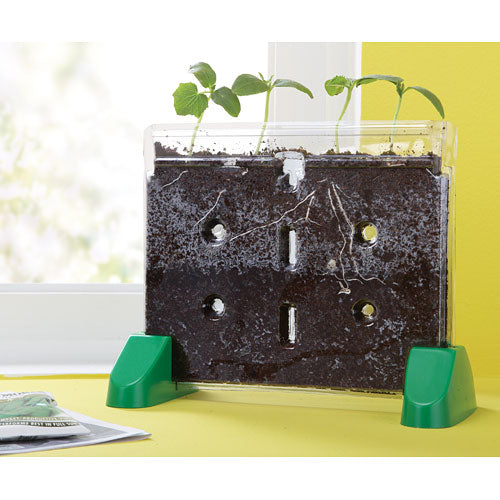 Sprout & Grow Window