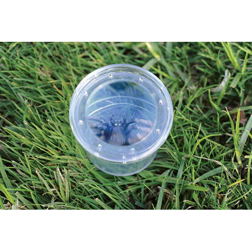 GeoSafari Jr. Bug Viewer