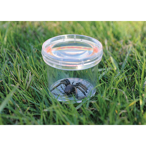 GeoSafari Jr. Bug Viewer