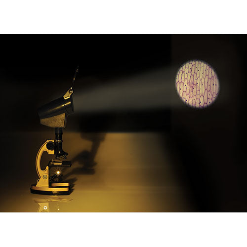 Micro Pro Elite Microscope