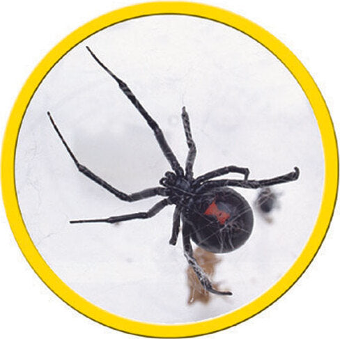 Talking Microscope - Catalog 2011