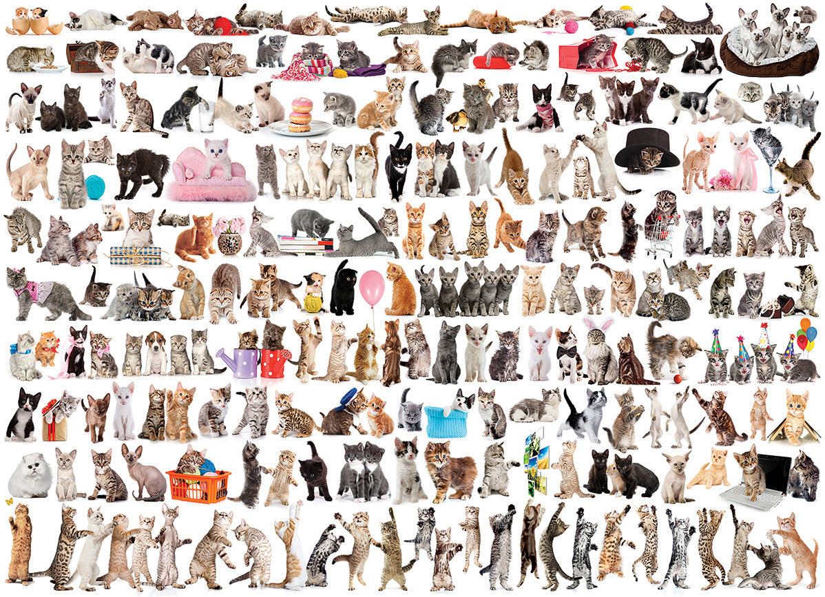 World of Cats 1000-Piece Puzzle