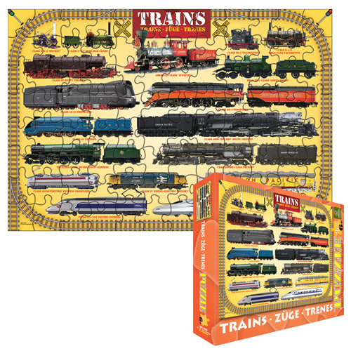 Solar System 100 pc Puzzle